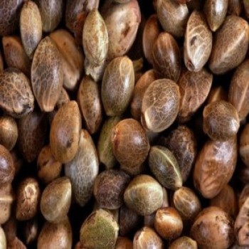 Cookies Seeds